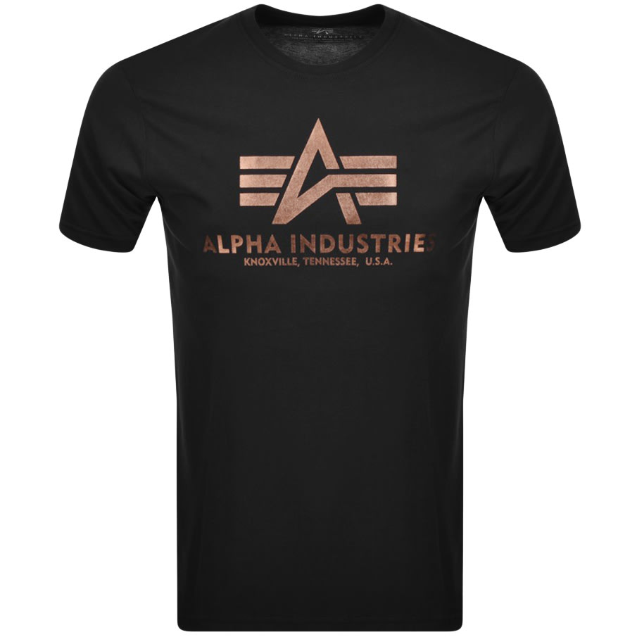 Alternative Image for ProductAlpha Industries Basic Logo T Shirt Black1